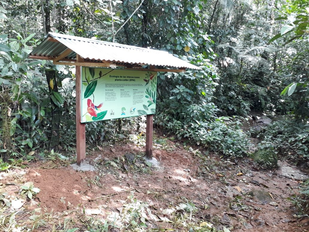 Refugiolongomai's tweet photo. Mostrando los resultados de @ephiproject en la entrada al sendero del río Sonador.

#colibri #hummingbird #plant #ecology #nature #costarica #longomai https://t.co/2LDsM3LE1T