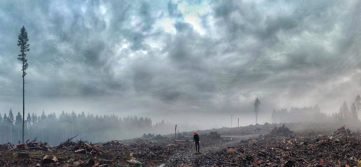sed's tweet photo. Walking home. Seen while hiking. #landscape #fog #foggy #cloudscape #fogscape #clearcut #slash #postapocalyptic #kid #teenager #hiker #hike #hiking #beavercreekoregon https://t.co/HnqhYN5pel