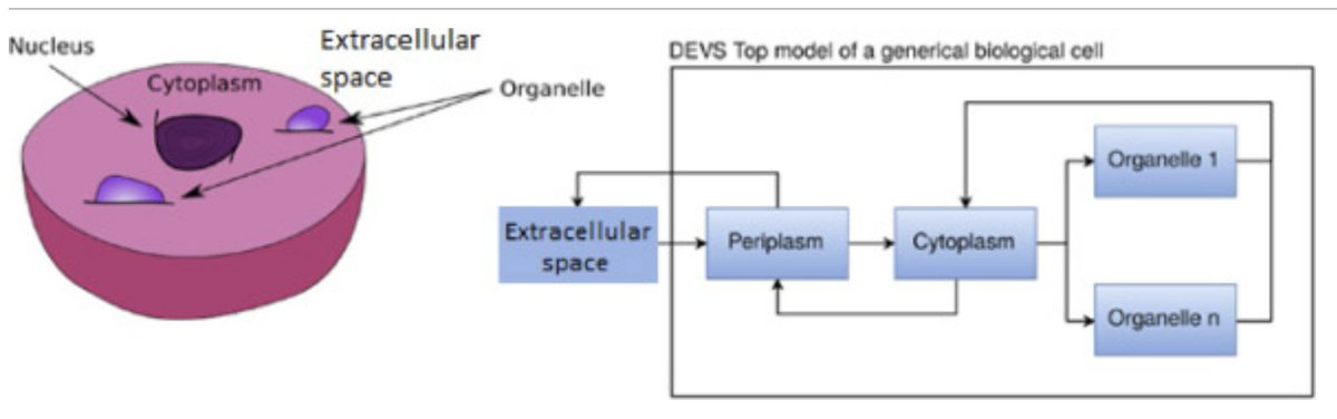 Our article "Integration and Automation of Modeling of Biological Cell Processes" is available at <a href="/sciencedirect/">Elsevier | ScienceDirect</a> 

sciencedirect.com/science/articl…

<a href="/cruizm_89/">Cristina</a> <a href="/Lbelloli/">Laouen Belloli</a> Funded by <a href="/NSERC_CRSNG/">NSERC / CRSNG</a>