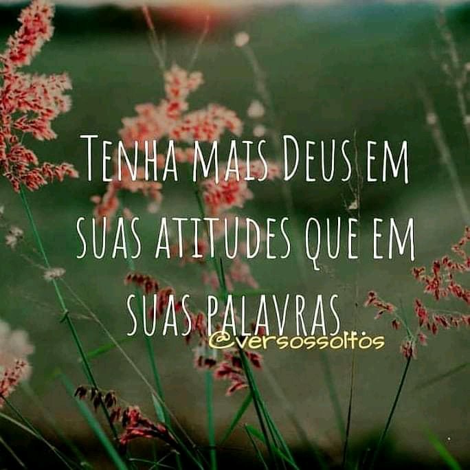 ✨✨Jan Doğa e Fatih 🇧🇷💙🇹🇷 (@sehereyaman) on Twitter photo 