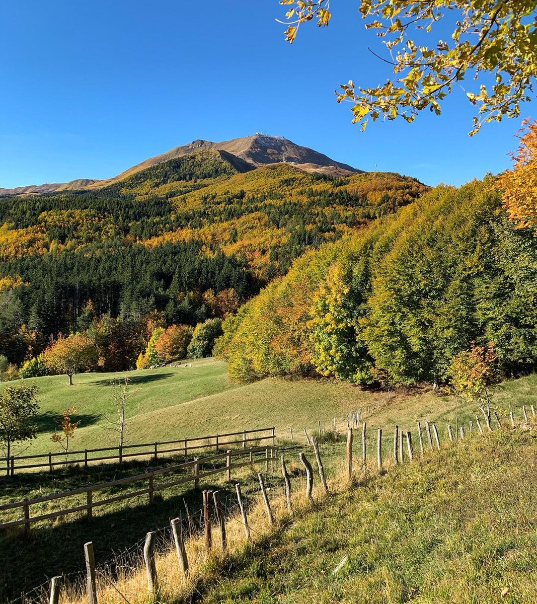 ModenaDintorni's tweet photo. Non ci sono parole per spiegare le vibrazioni che trasmettono i colori autunnali, si possono solo provare in prima persona! 🍂

Ecco allora il monte #Cimone svettare su un tripudio di colori #autunnali  ⛰

Ph appenninohikers | Via #modenaedintorni https://t.co/jy5DGvsdAJ