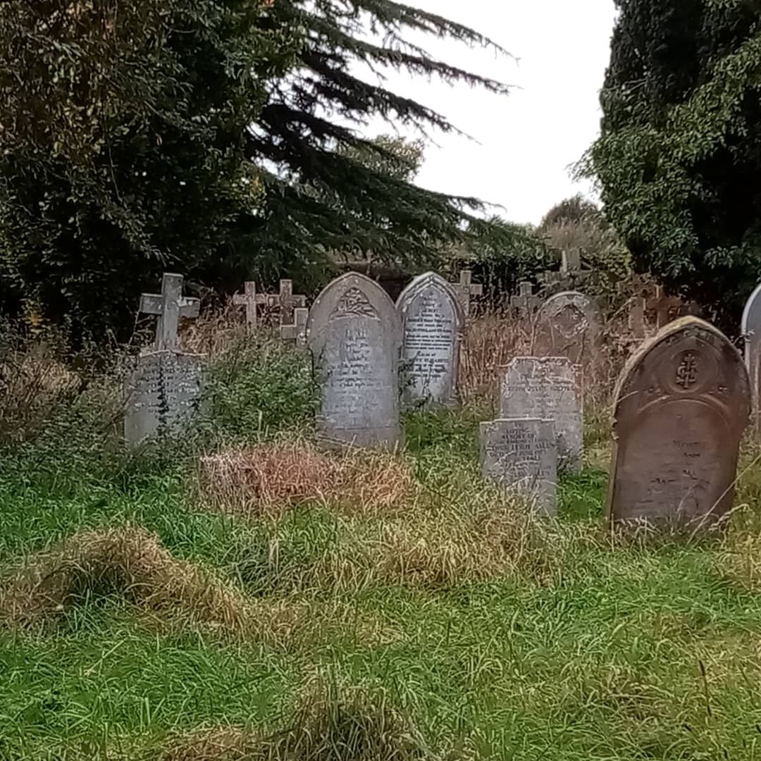 keeleyfibreart's tweet image. Art inspiration a short walk from my house. #weekley #weekleychurch #graveyard #toadstool #autumn #japaneselantern #colours #sketchbookideas #plants #nature