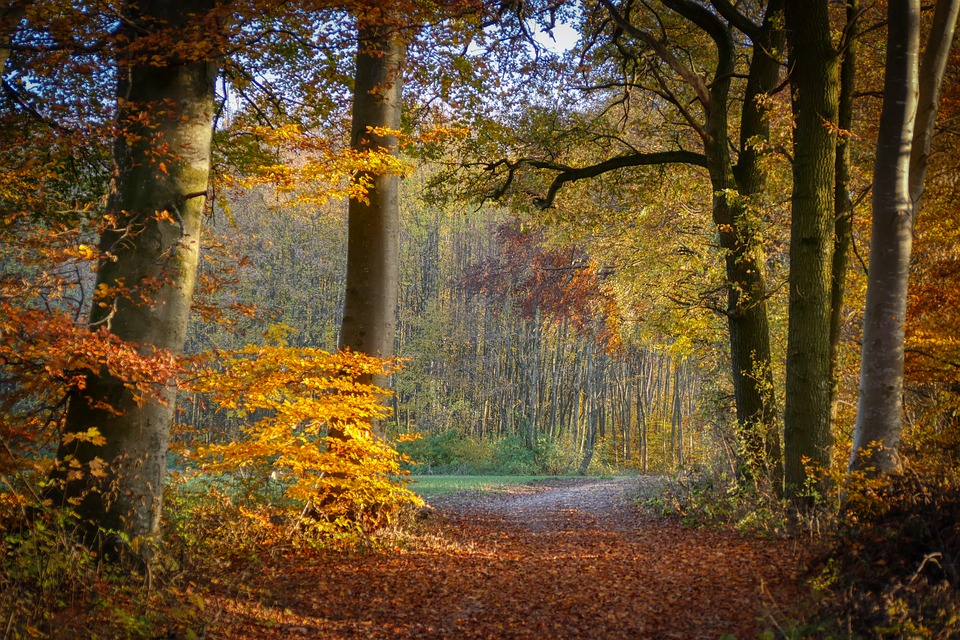 dragonfly_37's tweet photo. Wherever you go be happy.🍁✨☀️💙🎼 https://t.co/7FMylN8NQv