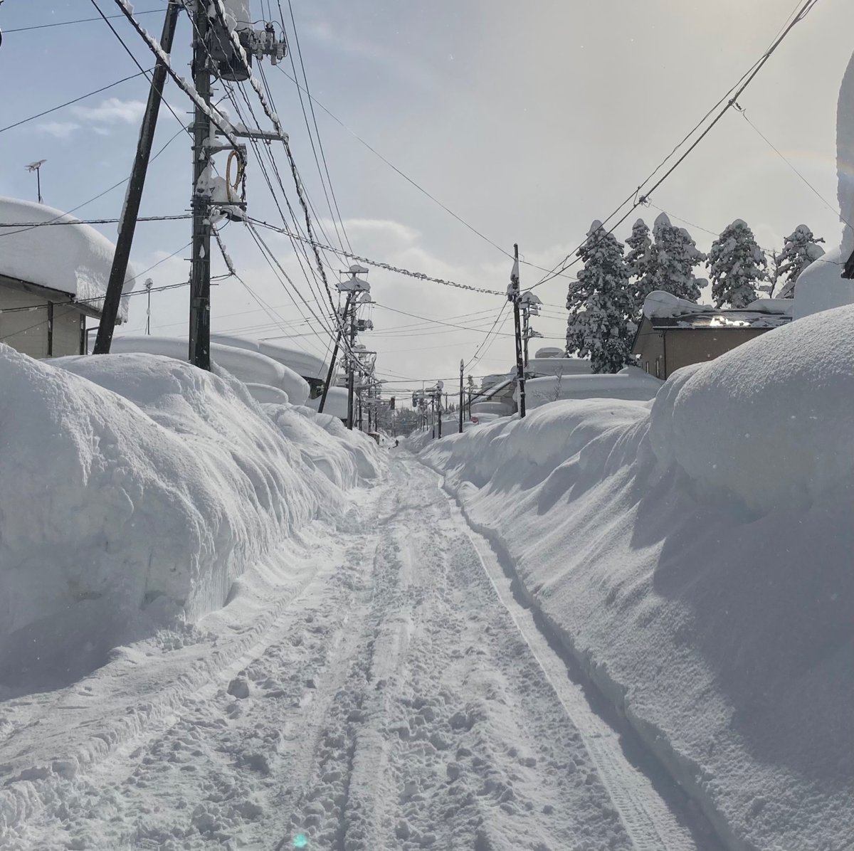 Hukusosu1's tweet photo. ラニャーニャか何か知らないけどさ、ホントに去年みたいな雪やめてください神様お願いしますお願いしますお願いします🥺 https://t.co/YM0si2iLsk