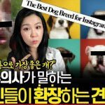 Photo by 미국수의사The Veterinarian's Diary (@VetonFire)