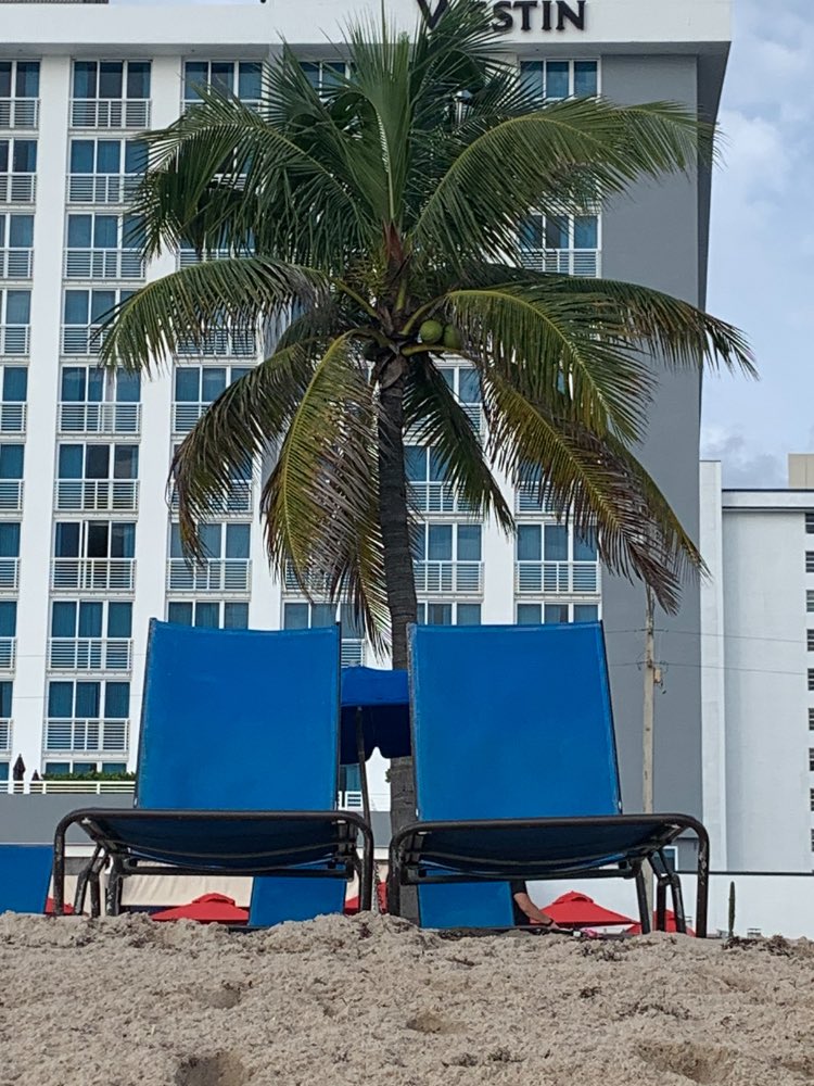 A great spot to see the sunrise <a href="/Westin/">Westin Hotels</a> <a href="/MarriottBonvoy/">Marriott Bonvoy</a>