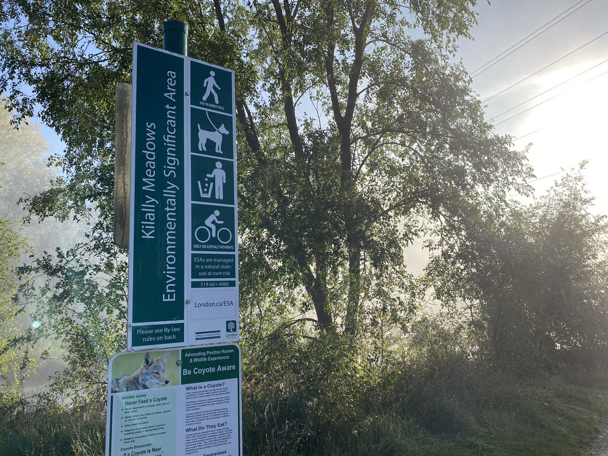 BirdFriendlyLdn's tweet photo. We are here in Kilally Meadows ESA and excited to be leading an accessible birding outing for #BirdabilityWeek2021. What a great turnout! Birding is for everybody and every body #ldnont https://t.co/wns436axAw