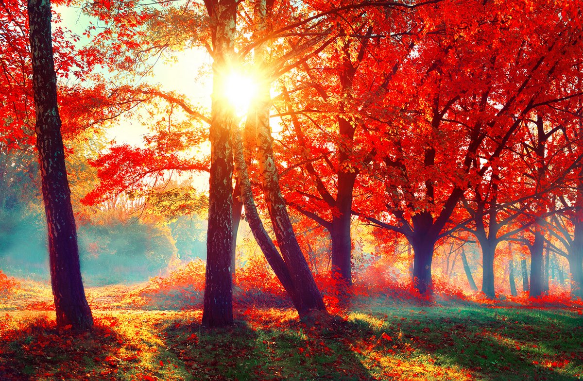 CarsenStar's tweet photo. Tomorrow (Monday) at 6A & 9A the Star Spotlight celebrates the Fall with a commercial-free hour of great tunes
@remhq @StevieNicks @BillyIdol @FixxOnline and a whole lot more
Only @HarperRadio 21-years on 88.3FM https://t.co/BFfl9VGEYH
Part of the #HarperCollegeMusicMachine https://t.co/tdtCWc2TTr