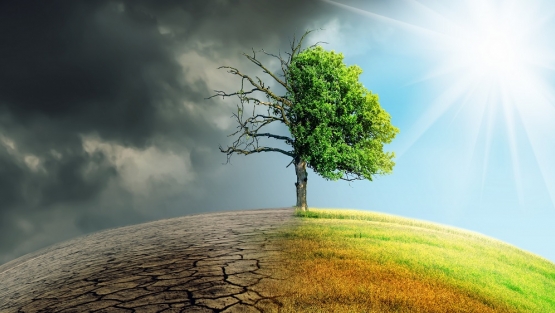 World Bank Finance, Trade, and Competitiveness tweet media