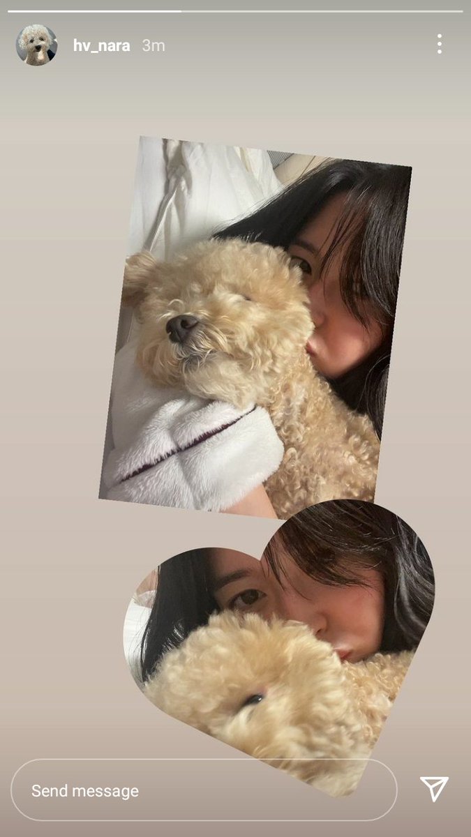 KwonNaraUpdates's tweet photo. 211024 [hv_nara] Kwon Nara IG Story ❤

https://t.co/3hwqlhoIg0

#KwonNara #권나라 #MinSangwoon #OhSooah #HongDain https://t.co/G8lv7MOCTv