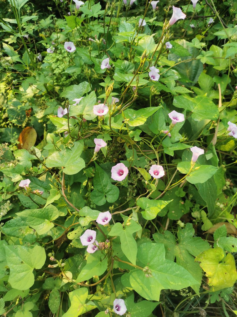 lyh61888 (@lyh61888) on Twitter photo 