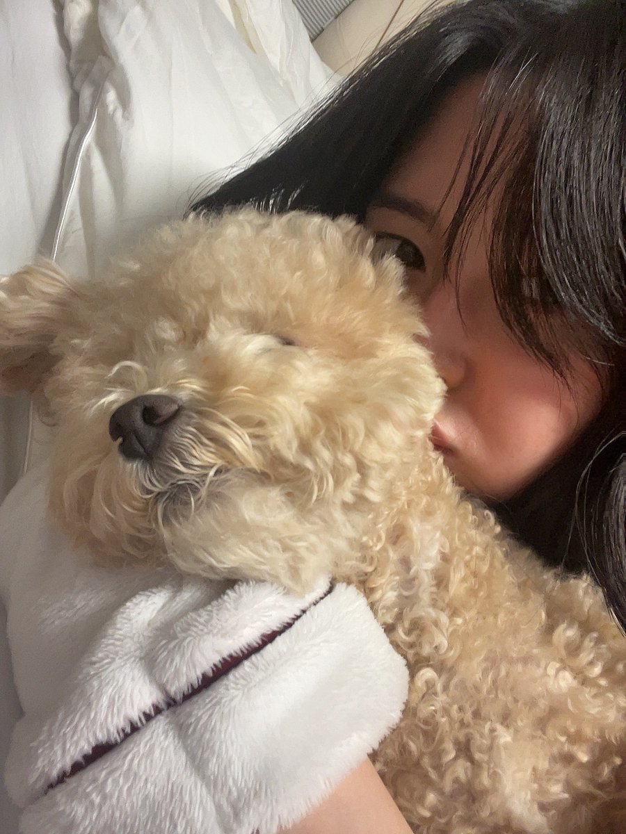 KwonNaraUpdates's tweet photo. 211024 [hv_nara] Kwon Nara Kakao GC Update ❤ It's the cutest Hodu! 😊

https://t.co/3hwqlhoIg0

#KwonNara #권나라 #MinSangwoon #OhSooah #HongDain https://t.co/h2pPnQmggm