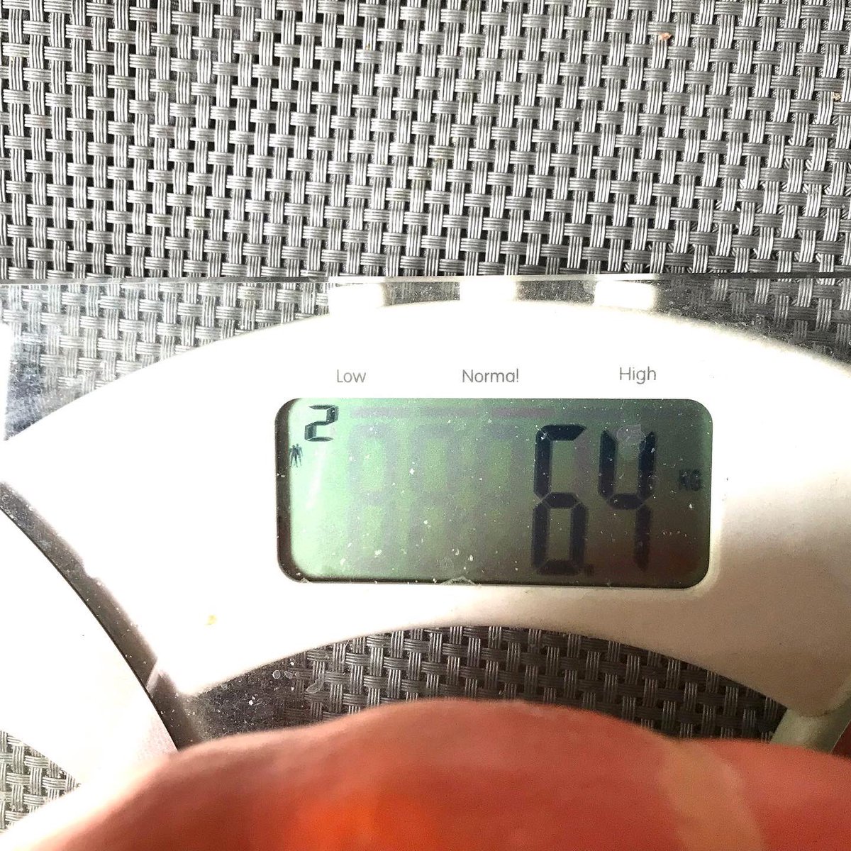 Sophie Render tweet media