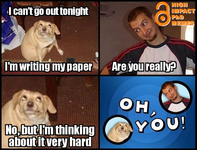 Honors College at TXST (@txsthonors) on Twitter photo 