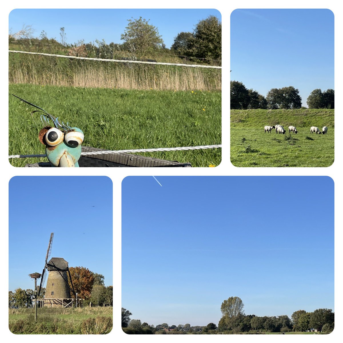 Zunneyoga's tweet photo. Rondje Vechte, met het pontje naar de overkant , zo leuk een prachtig weer erbij #vechte #Laar https://t.co/bDa0EL0zmy