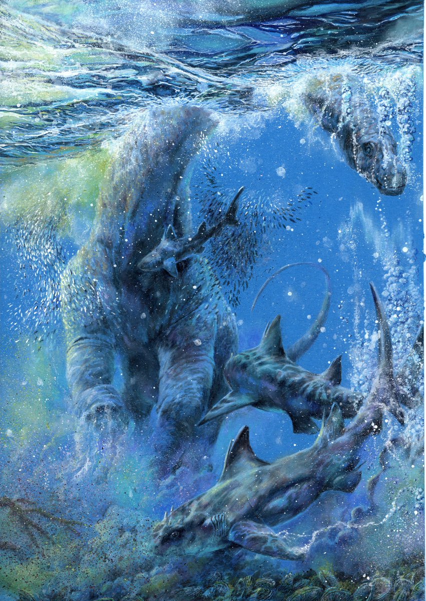 sharkbitesteve's tweet photo. Piece for a new project in the works. Hybodont sharks rooting in the shallows for molluscs and crustaceans in the Late Cretaceous waters of the North American continent of Laramidia are interrupted by the arrival of a huge titanosaur swimming north up from South America. https://t.co/uuGtM3bWzU