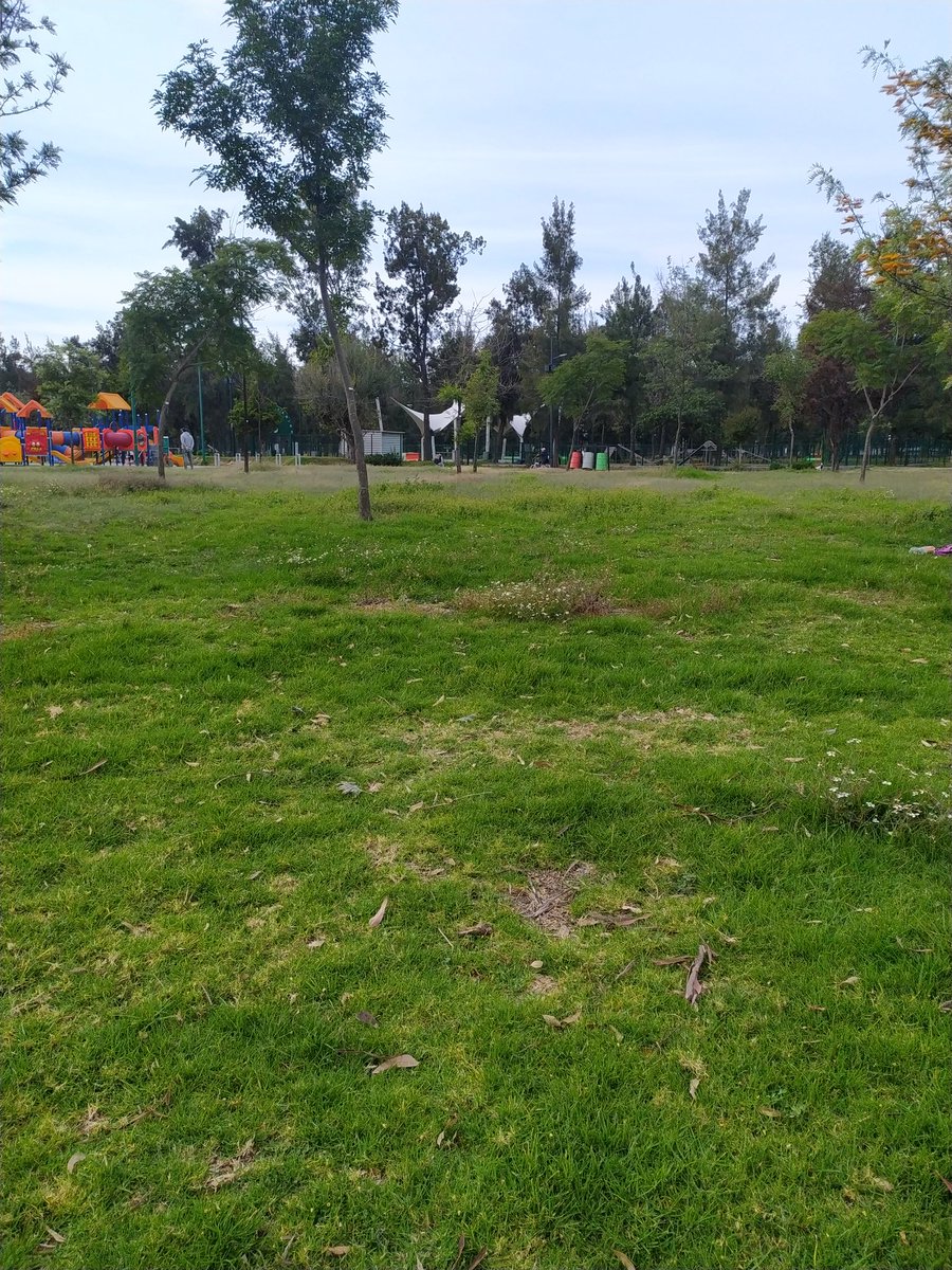 CElizabethRG's tweet photo. ¿Qué pasó @GobCDMX? El horario es desde las 5 y es hora que no abren el Parque Canino al que muchos venimos desde temprano. https://t.co/j0eVnVgSMR
