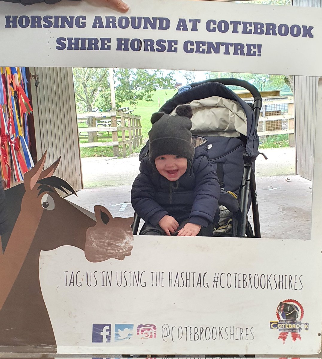 HelenDev's tweet image. Had an amazing day with my grandson and the beautiful Shire horses #cotebrookshires