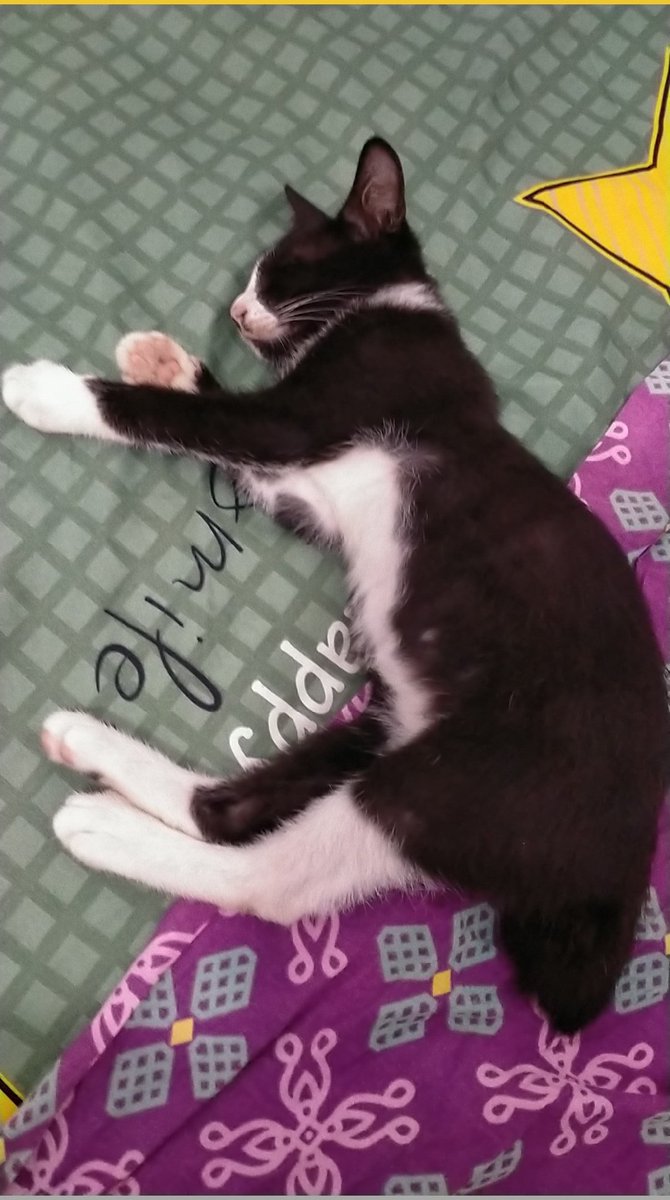 smyyptr's tweet photo. @ulat_bulu_bulu 😂😂 https://t.co/ipB7HhP4wc