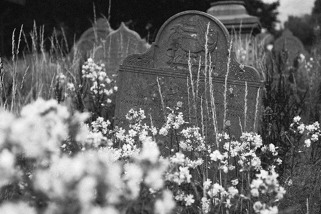 "Ölülər yaşayanlardan daha çox çiçək alır, çünkü peşmanlıq minnətdən daha güclüdür."