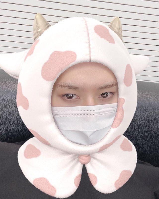 b0bayez's tweet photo. @leeknowkitty_ I can't wait to see you grow as an artist every single day. Enjoy your day, Minho! Have lots of rest and take care of yourself! Meow meow! <33
#StrayKids #LeeKnow #리노 #LeeKnowIsCute #LeeKnowBirthday #LeeKnowDay #DancingGemLeeKnow
2/2 https://t.co/d8zvacZaD2