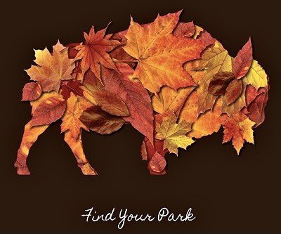 NPSYouth's tweet photo. ๐Whether itโs making sโmores, leaf peeping, pumpkin picking, sipping apple cider, or hiking, experience the #greatoutdoors, stunning scenery, & join cultural festivities at ๐ณ national parks โก๏ธ https://t.co/os2ZBkQrfS
๐ธ NPS/Matt Turner
#FallIntoAdventure #FindYourPark #NPS https://t.co/baidYNYKm7