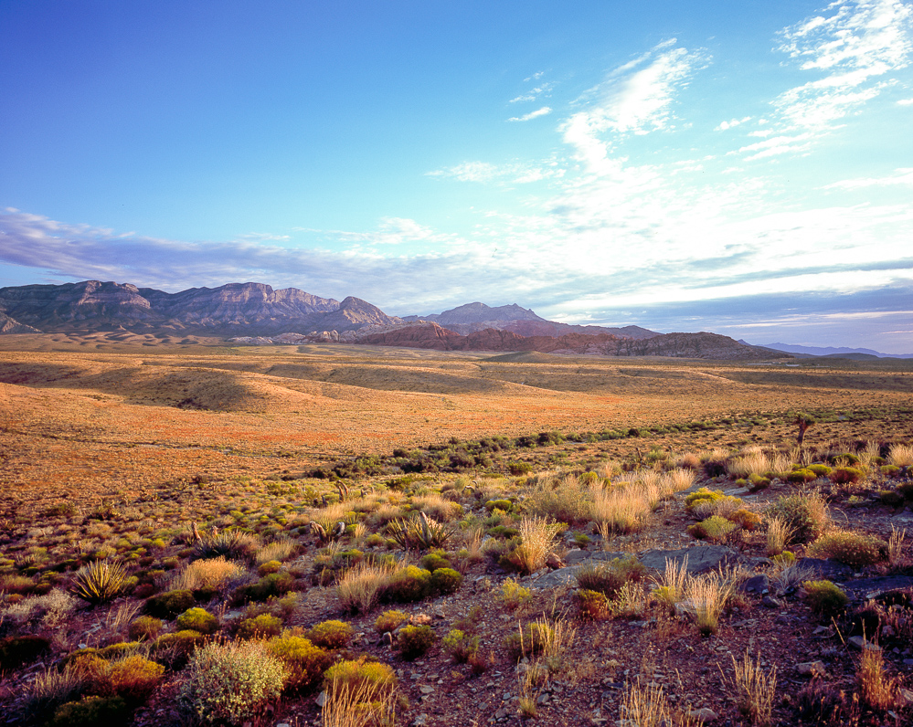 Daniel Cuthbert tweet media