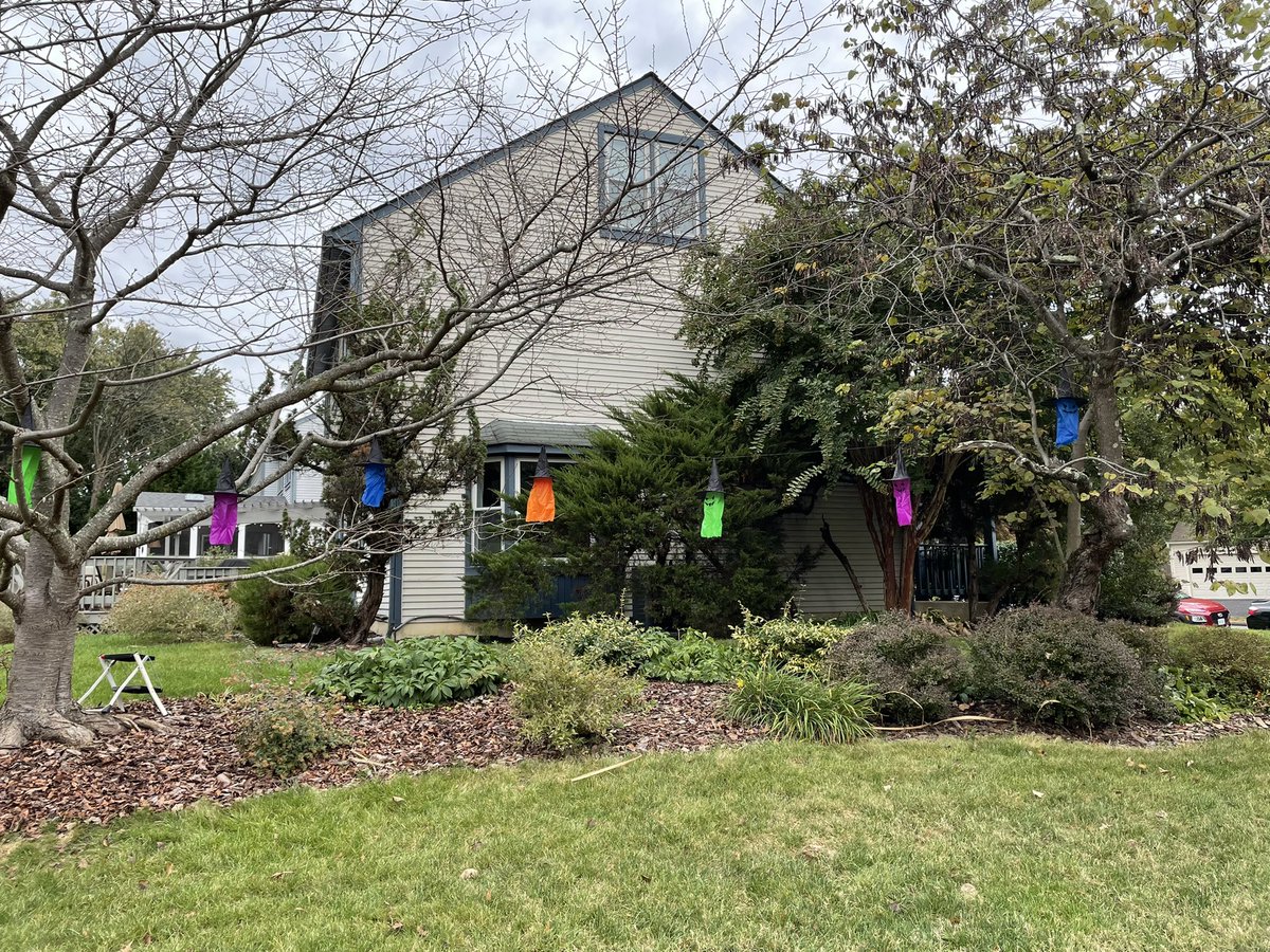 Rebecca Reed tweet media