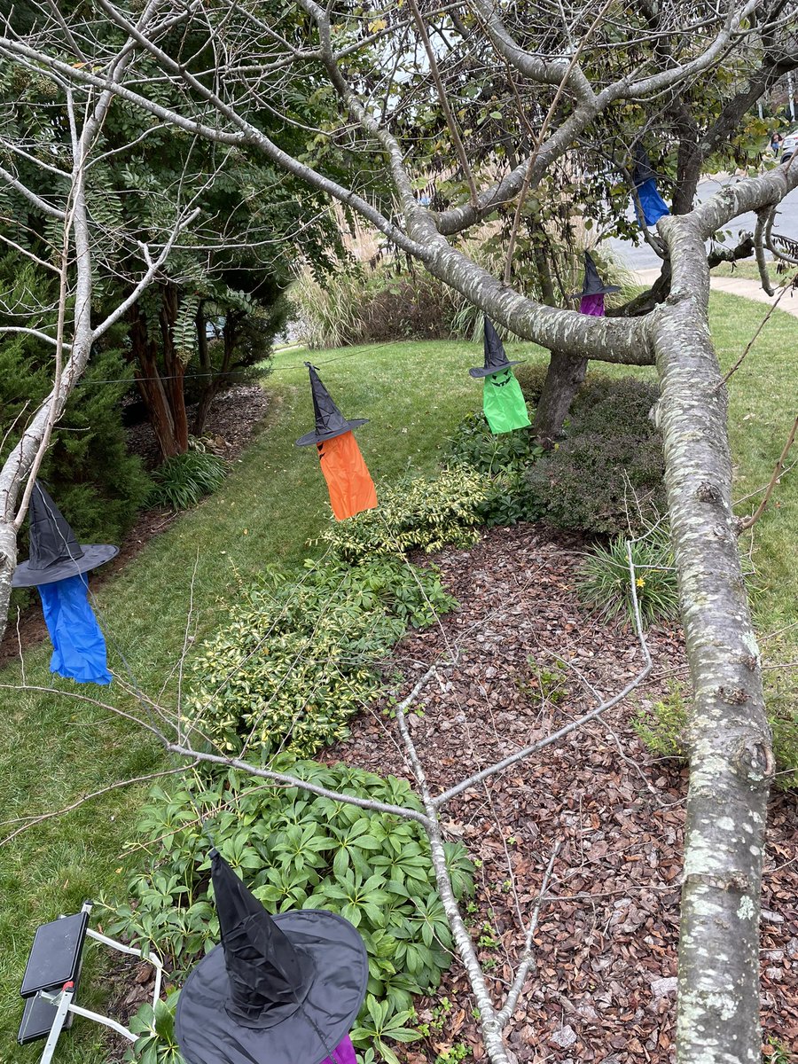 Rebecca Reed tweet media