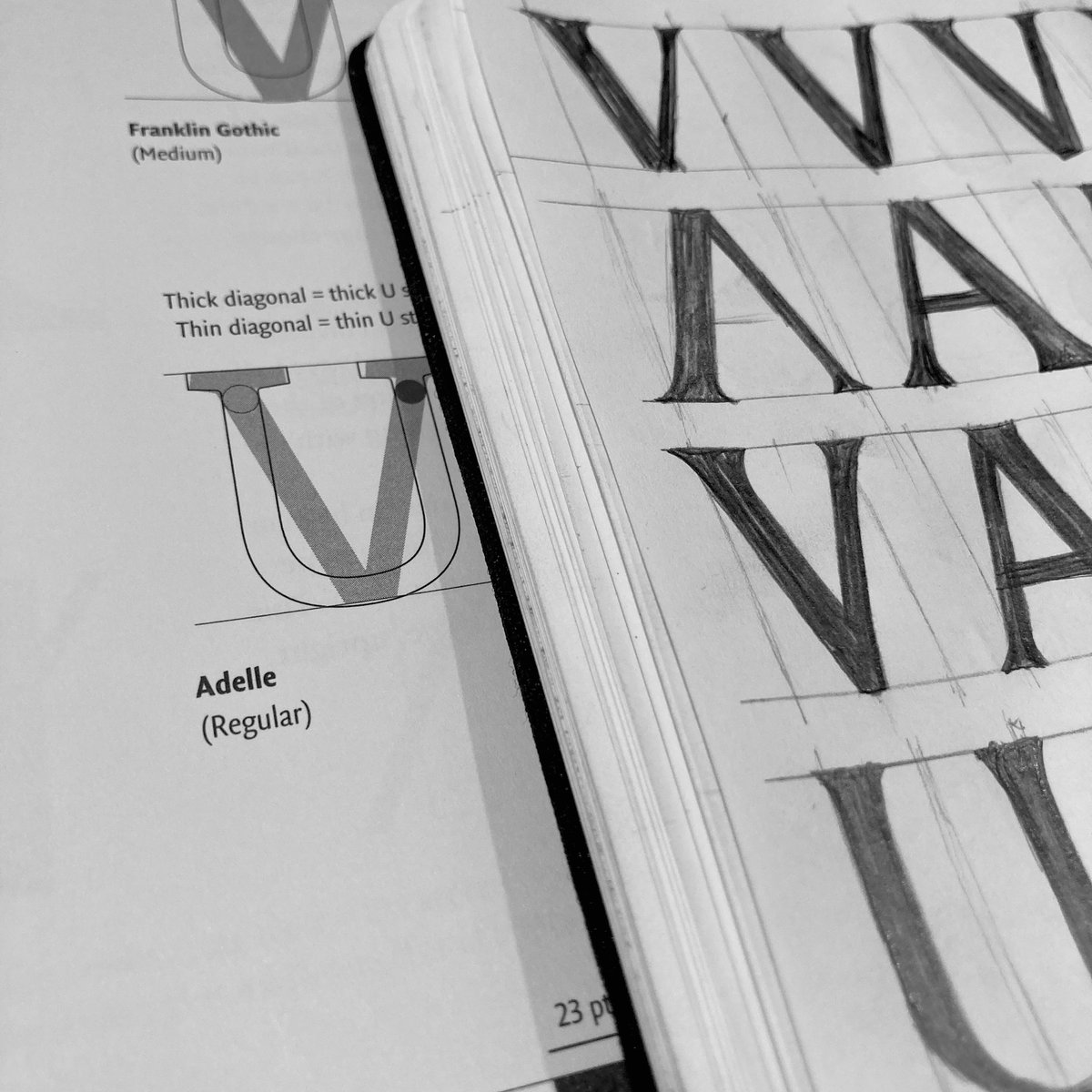 Lan Anh Ng tweet media