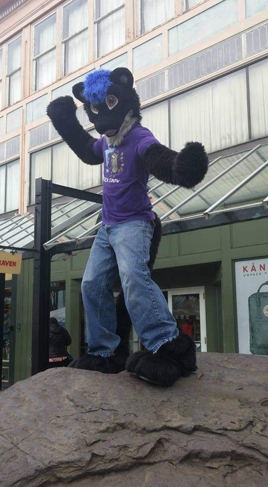 VermontFurs's tweet photo. Vermont Furs is deeply saddened by the loss of our friend and former mod @ahzlon. He was an amazing skunk dad, loved by all. We love you, rest easy. https://t.co/tit2yvIVef