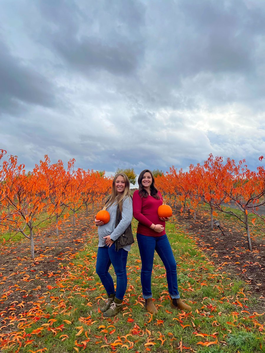 KCroxen's tweet photo. Can’t wait to meet our little pumpkins 💙💕🤰🏼 https://t.co/B21zDGbirT