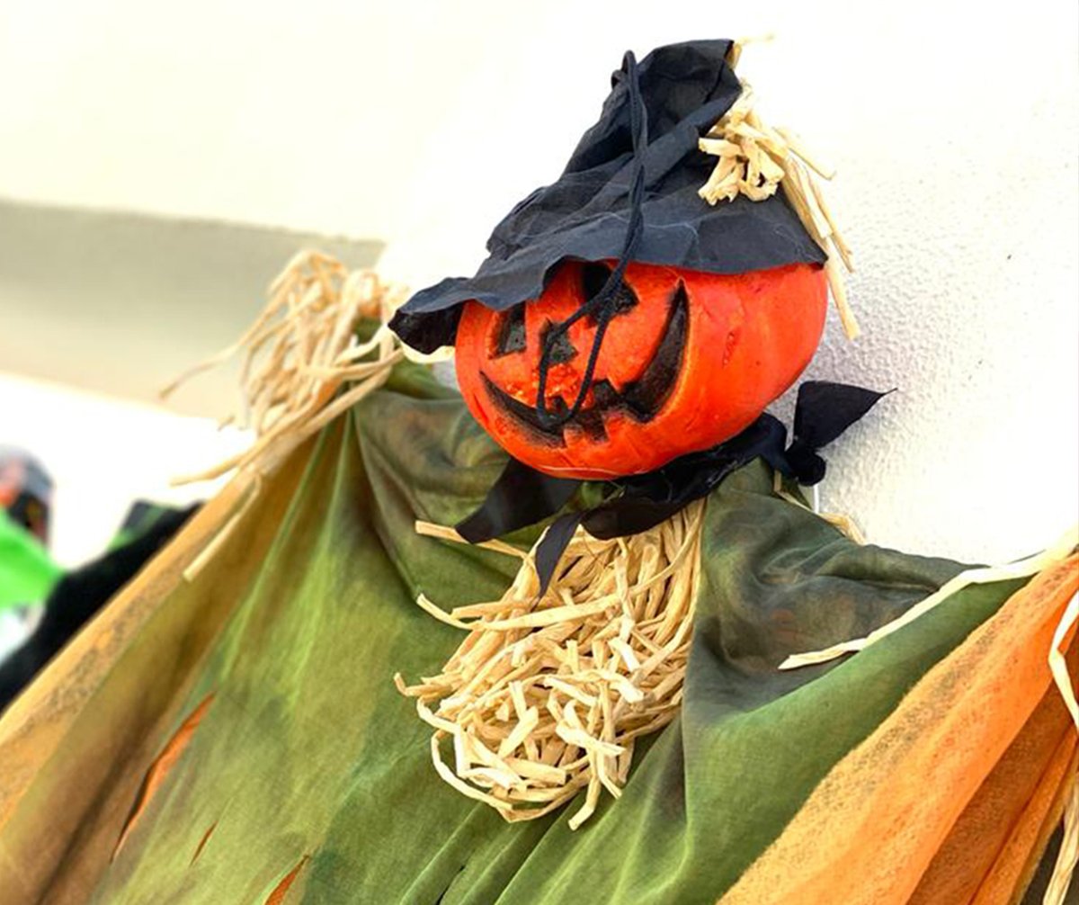 ASDubaiNews's tweet photo. Halloween has arrived at ASD!🎃

A big thank you to our parent volunteers and the Facilities Team who helped transform the campus gates into a fun, decorative fiesta.

#ASDubai
#ASDCommunity https://t.co/3xwcayKNxE