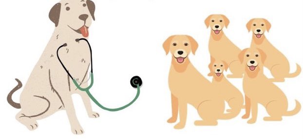 don’t forget. to check on the Labs. Every day.