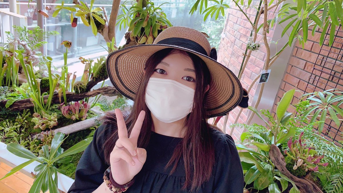 Imsさん 鳥取 V Twitter アクアリウムと食虫植物と小動物好きでゲーム趣味 に理解があって デート中にぶっ倒れて鼻血吹き出したり酒飲んで調子に乗ってゲロ吐いたり いきなり腰壊して救急搬送されたり バッタ見つけたらとりあえず捕まえる 女 最高すぎる 勝ちです