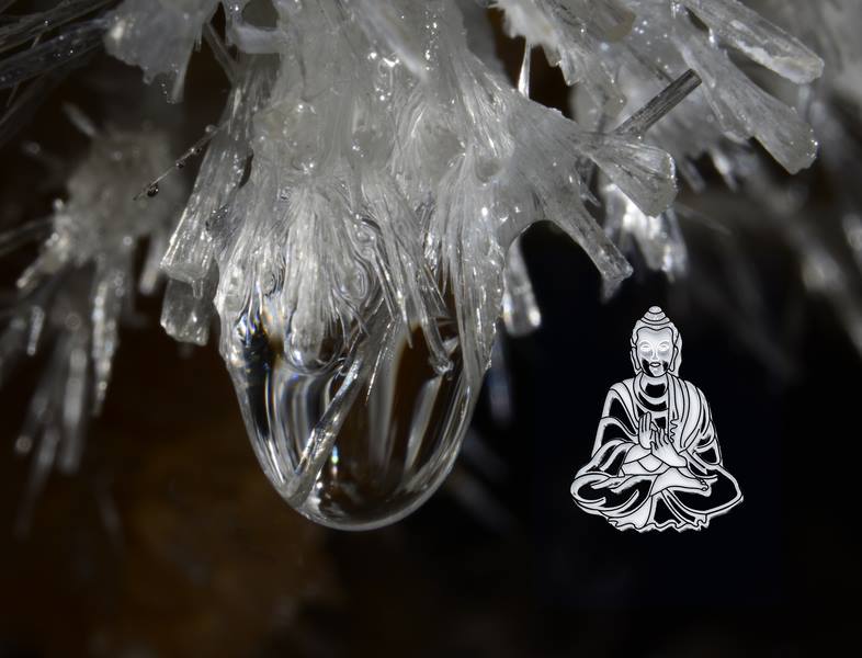 Clamouse tweet media