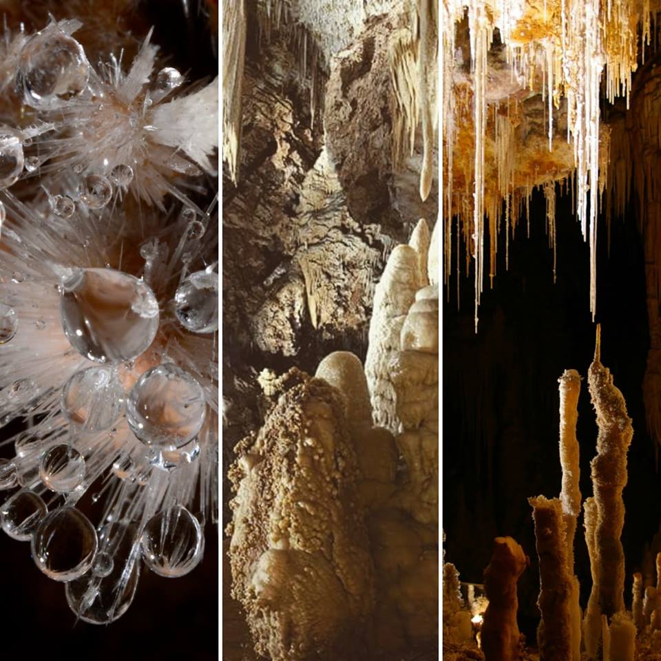 Clamouse tweet media