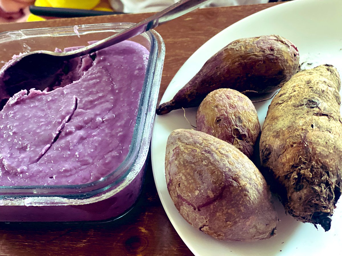 NeuroticSlayer's tweet photo. Blessings of the earth (2021) #yam #taro #sweetpotato #rootcrop #UBElove #UBUlovewhomst https://t.co/KUzk612fcy