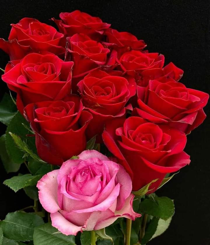 Assalam_0_Alikum 
Good Evening zafar sahib ❤🙏