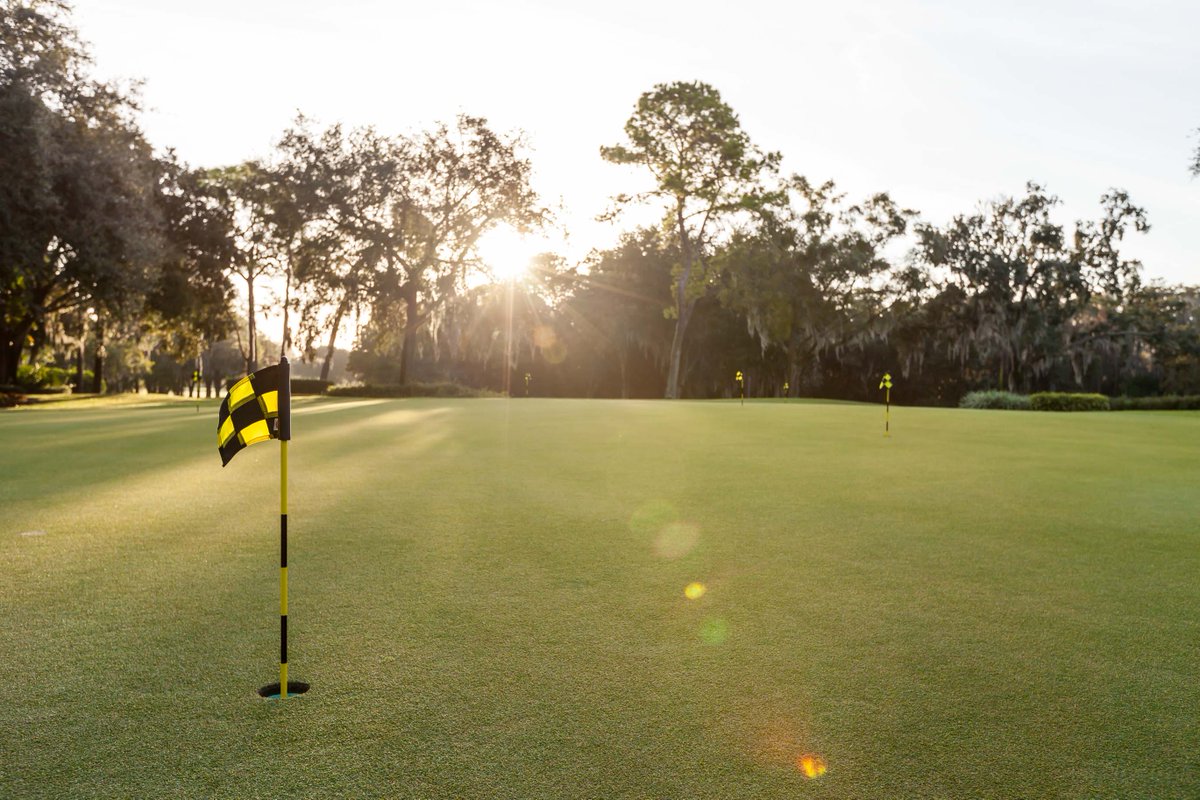 Innisbrook's tweet photo. Practice makes perfect ⛳ Before your round on the Island Course, hit the practice putting green to make sure your putting game is in top shape.

#Innisbrook #GolfLife #IslandCourse https://t.co/FkIxFOagKF