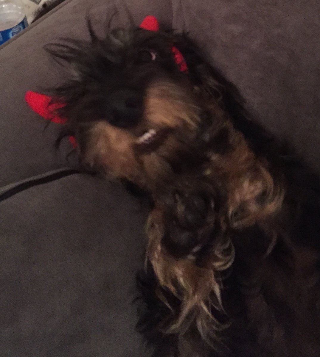 Looking back through photos and spotted these from a few years back #halloween #throwback  🎃👹