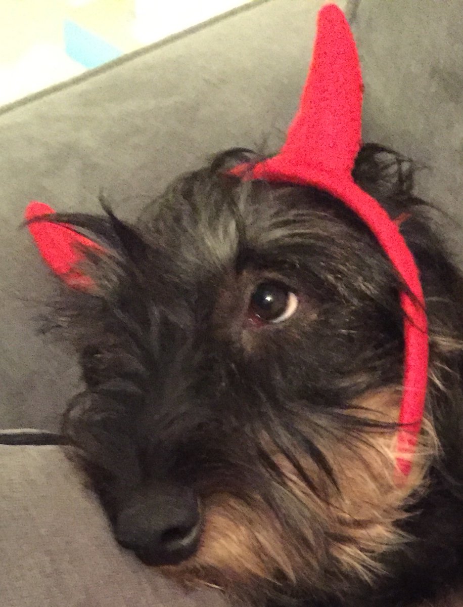 Wireysausage's tweet photo. Looking back through photos and spotted these from a few years back #halloween #throwback  🎃👹 https://t.co/lqPDMzZ3ql