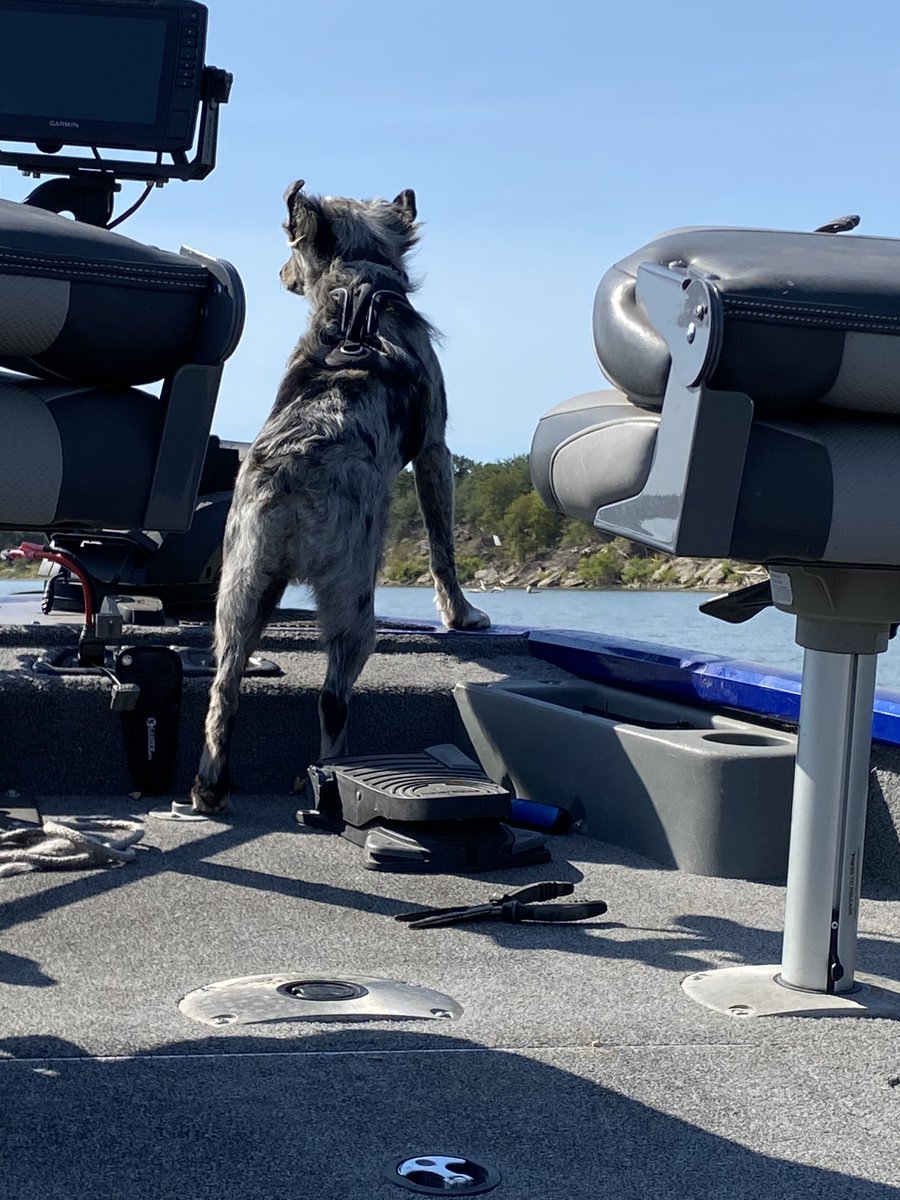 Happy Birthday to my Ranger!!  Such a good boy!!!