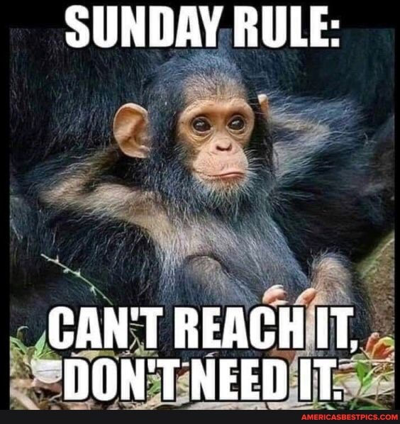 Duck2Lightning's tweet photo. #TipsToMakeADIfference 

Learn to establish boundaries

#Humor #humour #sundayvibes #SundayMorning #SundayMotivation https://t.co/u1oMEAhH9J