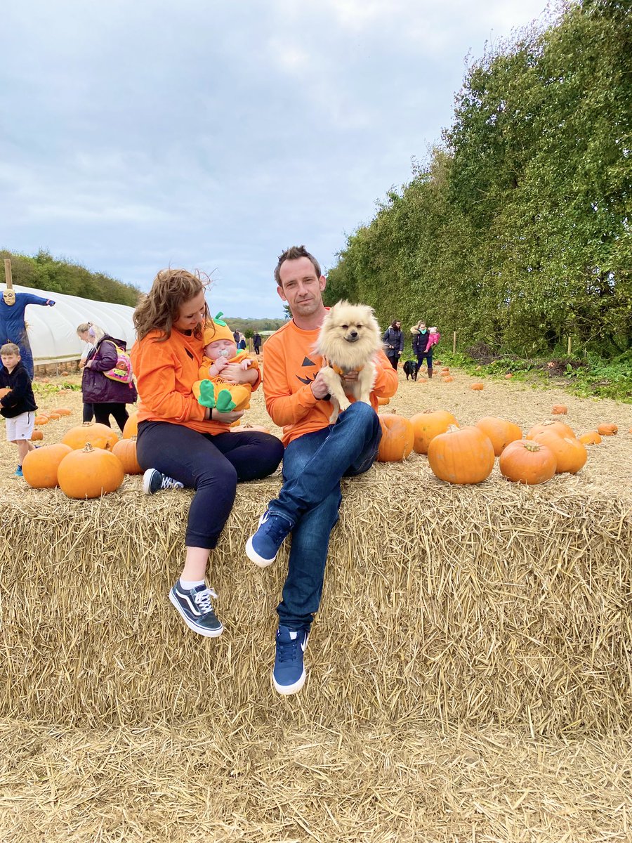 Lisaa_Jadee's tweet photo. Pumpkin patch with my pumpkins🎃 https://t.co/BocZIHpJIb