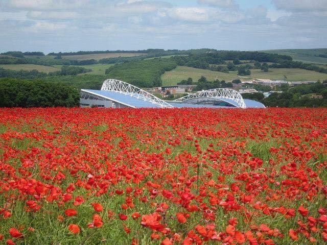 jamesbroad1711's tweet photo. Amex Stadium #BHAFC #AmexStadium #poppy #poppies #RememberAndNeverForget #brighton #falmer #americanexpresscommunitystadium https://t.co/caga1TpqwH