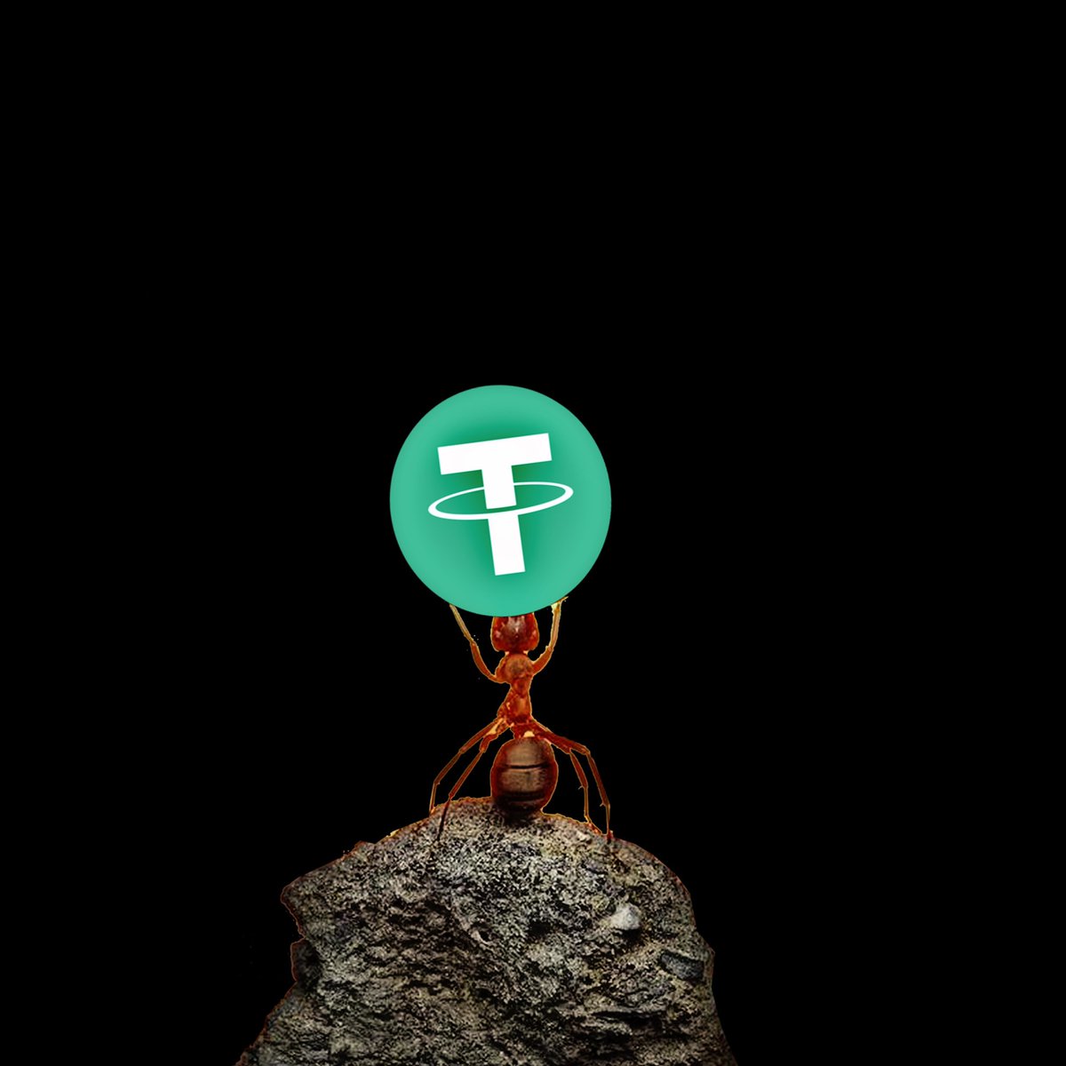ervanramadhan20's tweet photo. Cek NFT In Opensea : https://t.co/QIdfNdXkfU #NFT #NFTGiveaway #NFTCommunity #nftcollector #SolanaNFT #BSC #Ethereum #opensea #NFTs #Crypto #cryptoant #CRYPTOPUNK #cryptocurrency #Metaverse https://t.co/Dc1HnKDuNf