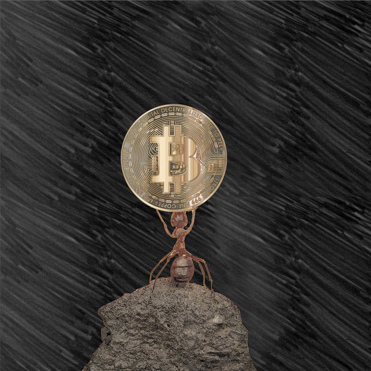 ervanramadhan20's tweet photo. Cek NFT In Opensea : https://t.co/QIdfNdXkfU #NFT #NFTGiveaway #NFTCommunity #nftcollector #SolanaNFT #BSC #Ethereum #opensea #NFTs #Crypto #cryptoant #CRYPTOPUNK #cryptocurrency #Metaverse https://t.co/Dc1HnKDuNf