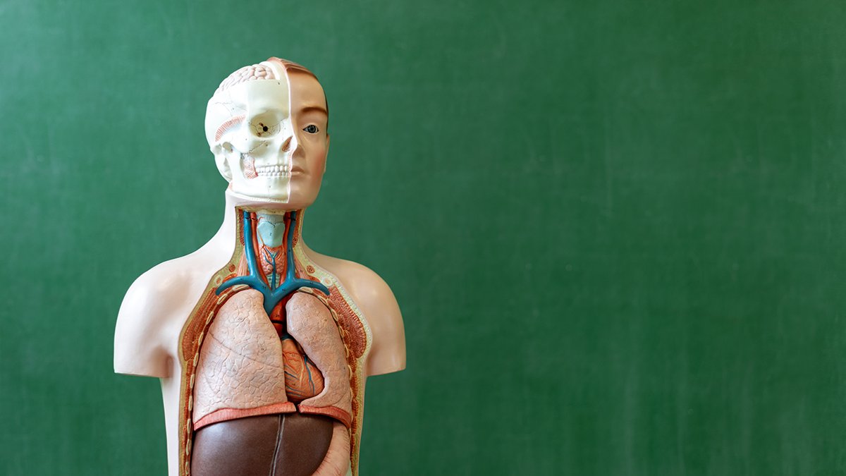HTA_UK's tweet photo. Did you know that one of our roles is to help protect the interests of living organ donors and confirm they have given valid consent. Read more about living organ donation here: https://t.co/CcaGFneAFK
#HumanTissueAuthority #Consent #ValidConsent https://t.co/yThMxt4Ypx