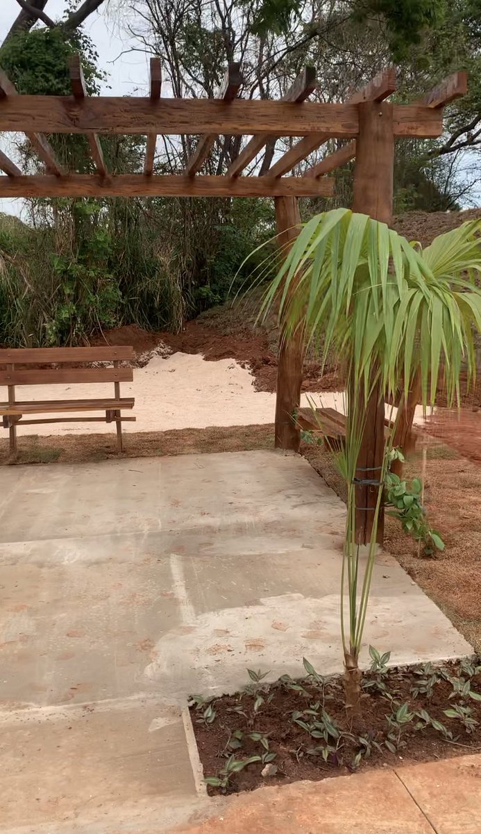 AMMAGOIANIA's tweet photo. 😇 E não paramos por aí: o Bosque dos Anjos também foi revitalizado. O parque recebeu novo memorial, pista de caminhada, paisagismo e estares de convivência: mais estrutura para demonstrar todo o nosso carinho e respeito por este lugar tão especial! https://t.co/zRiaWclwgV